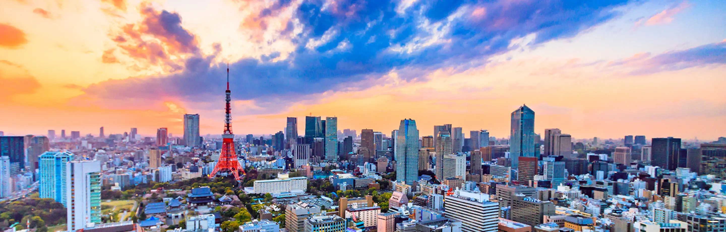 東京の都市景観を背景にした風景