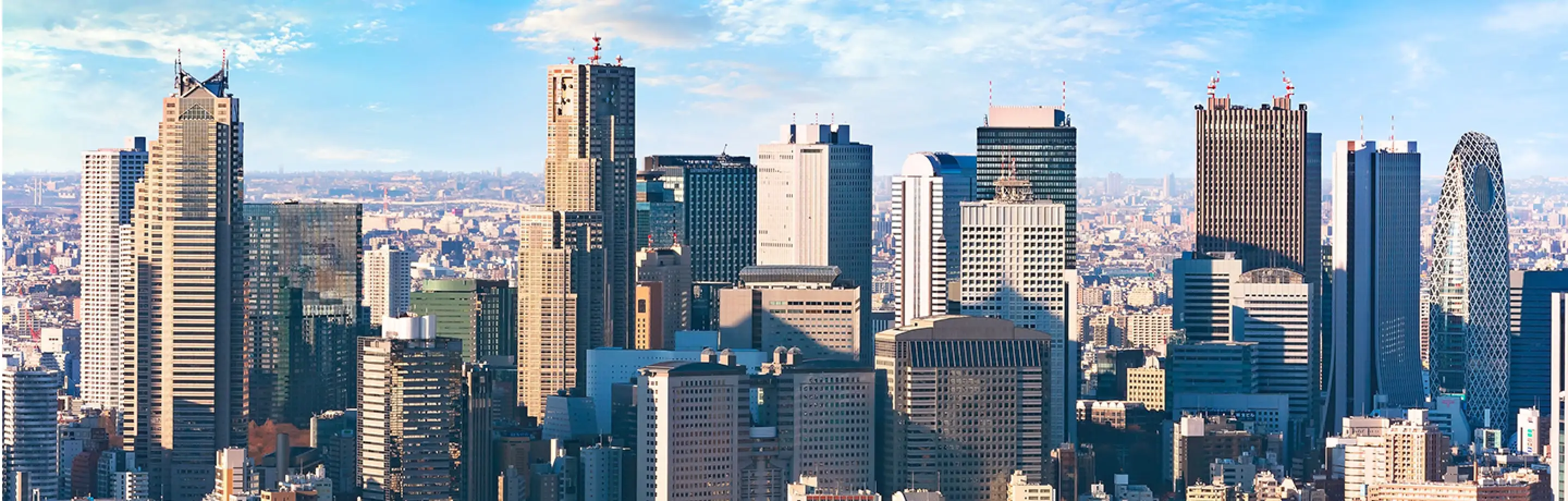 東京の都市景観を背景にした風景