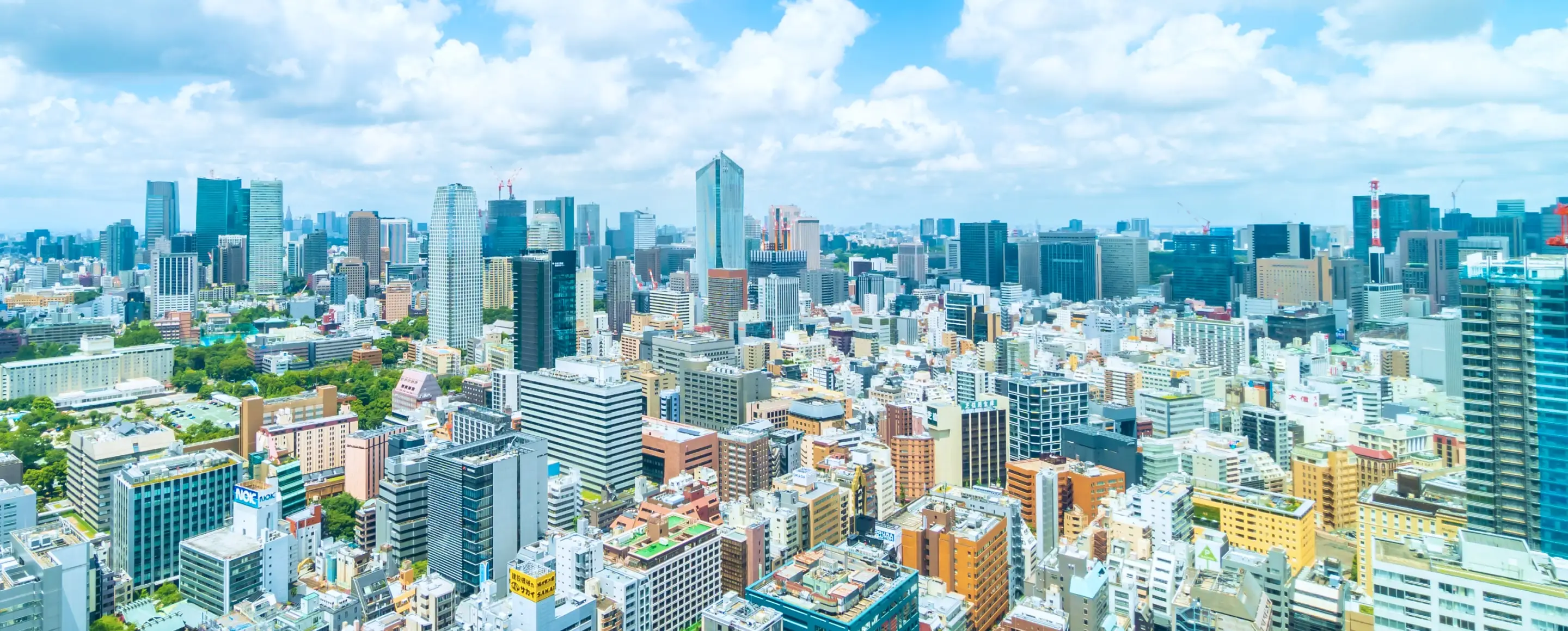 東京の都市景観を背景にした風景
