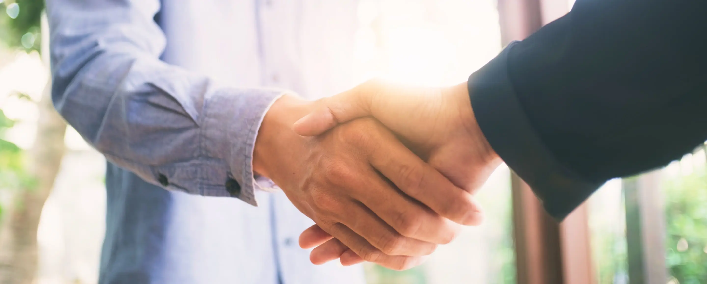 スタッフが握手をしている様子